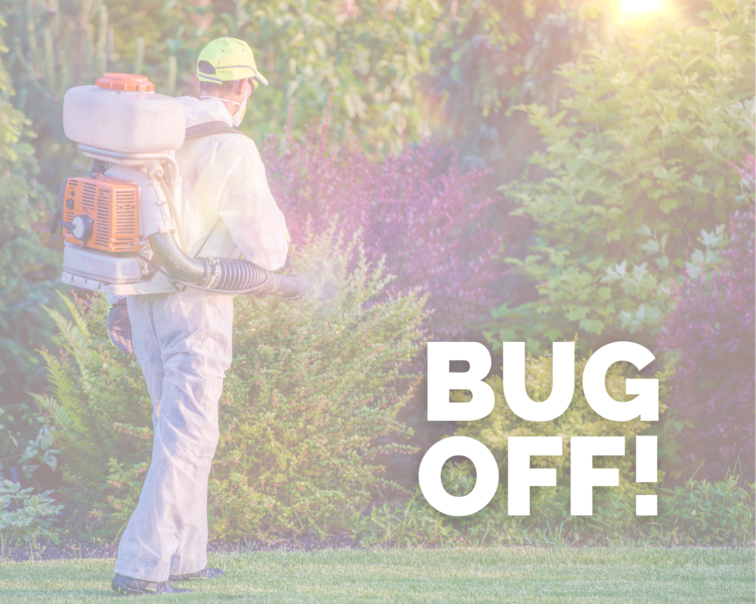 Bug Off!  Don